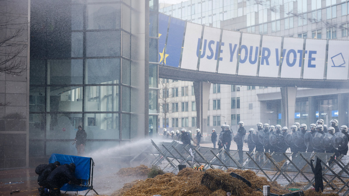Gödselprotest i Bryssel i torsdag. Bönderna är missnöjda med allt från konkurrens och frihandelsavtal till vad man anser vara för stelbenta EU-regler, inte minst på miljösidan.