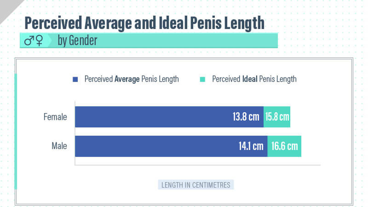 En undersökning gjorde på Dr Ed visar att den genomsnittliga penis-längden är 14,1 centimeter, men idealet är 16,6 centimeter.