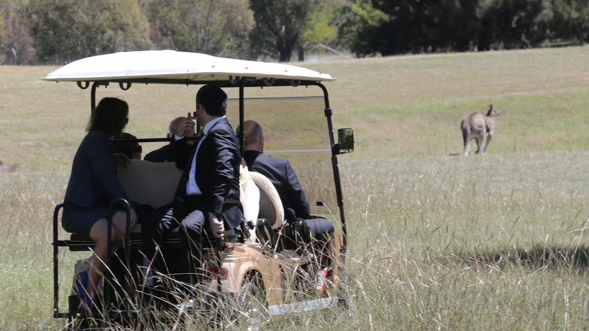 Här kan vi se den norska kungafamiljen ta en sväng i en golfbil.
