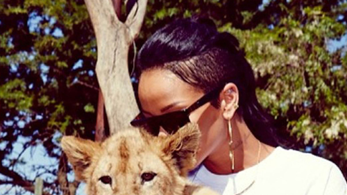 Rihanna älskar djur. Hur kan man stänga av en sådan djurvän från Instagram? Helt sjukt?