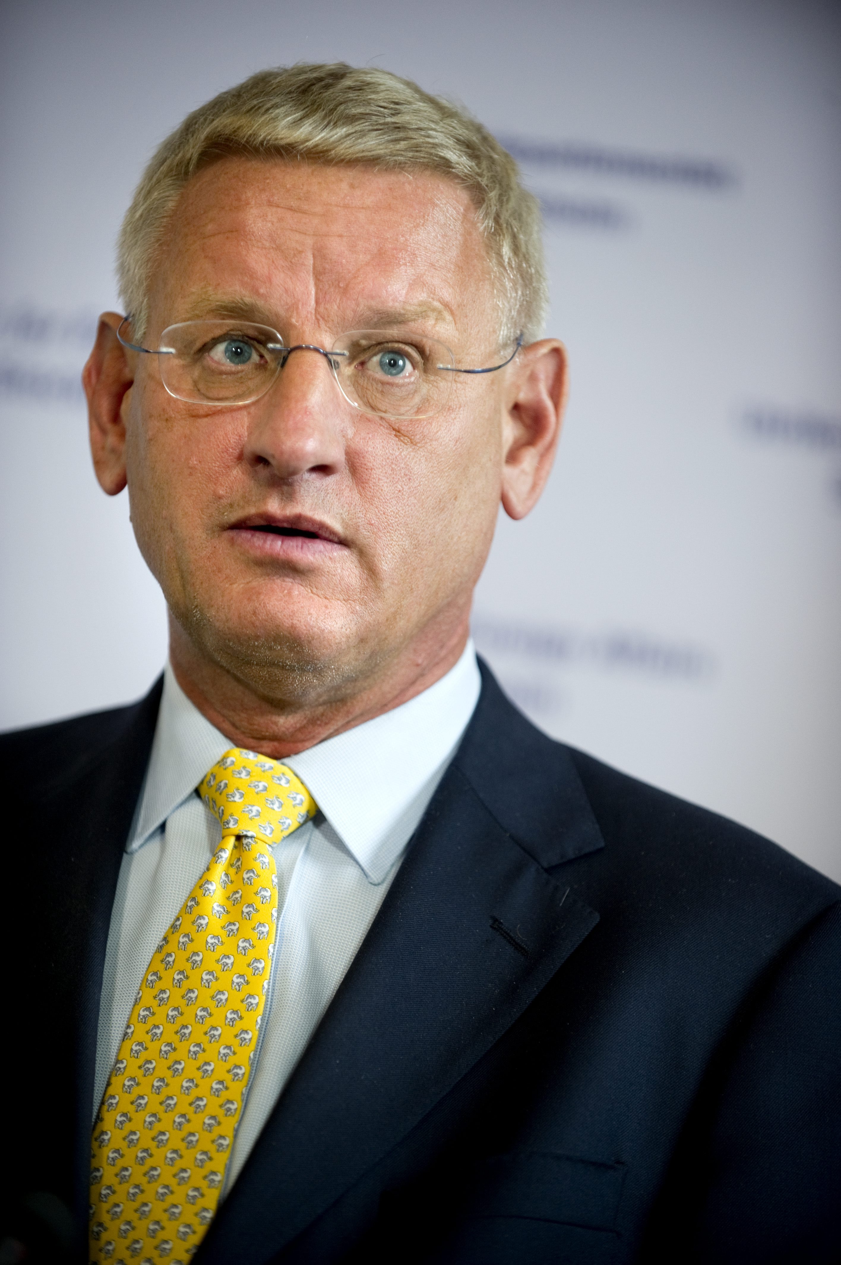 Carl Bildt, Lundin Petroleum, Miljöpartiet, Etiopiensvenskarna