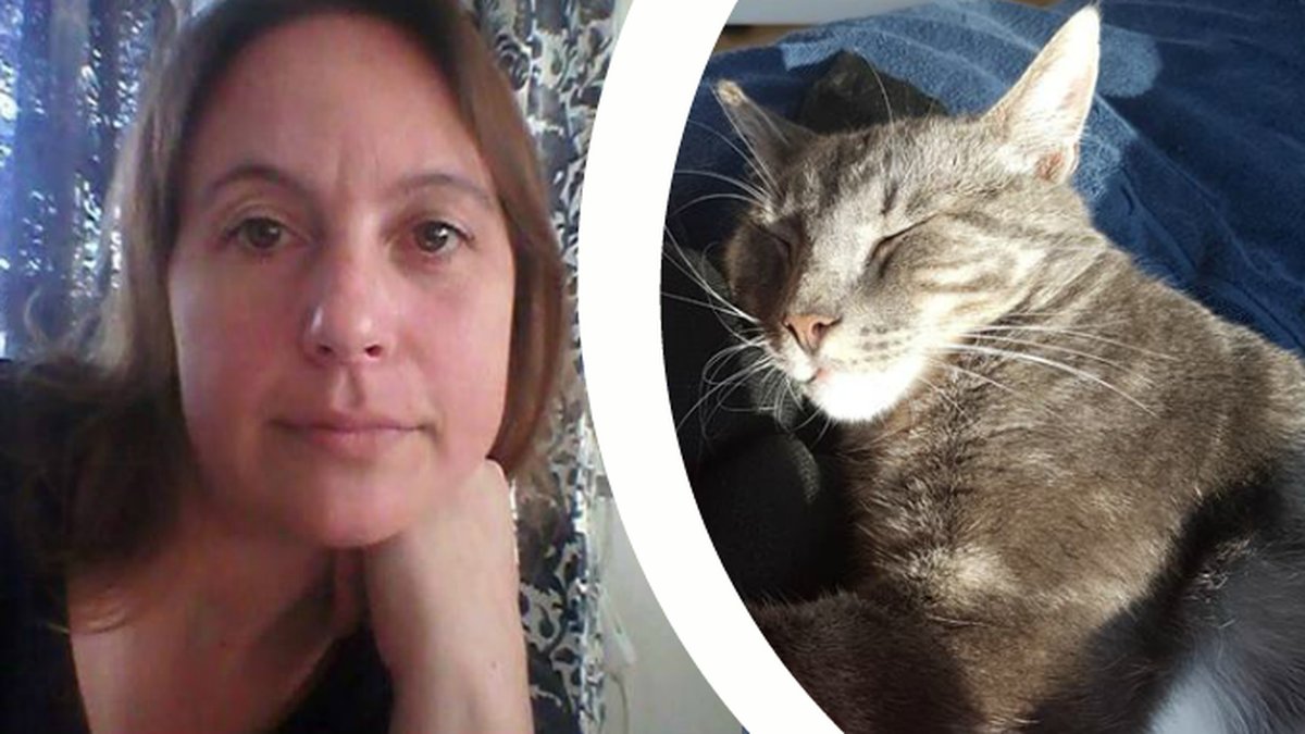 Camilla Sandsten och katten Nisse sover i solsken