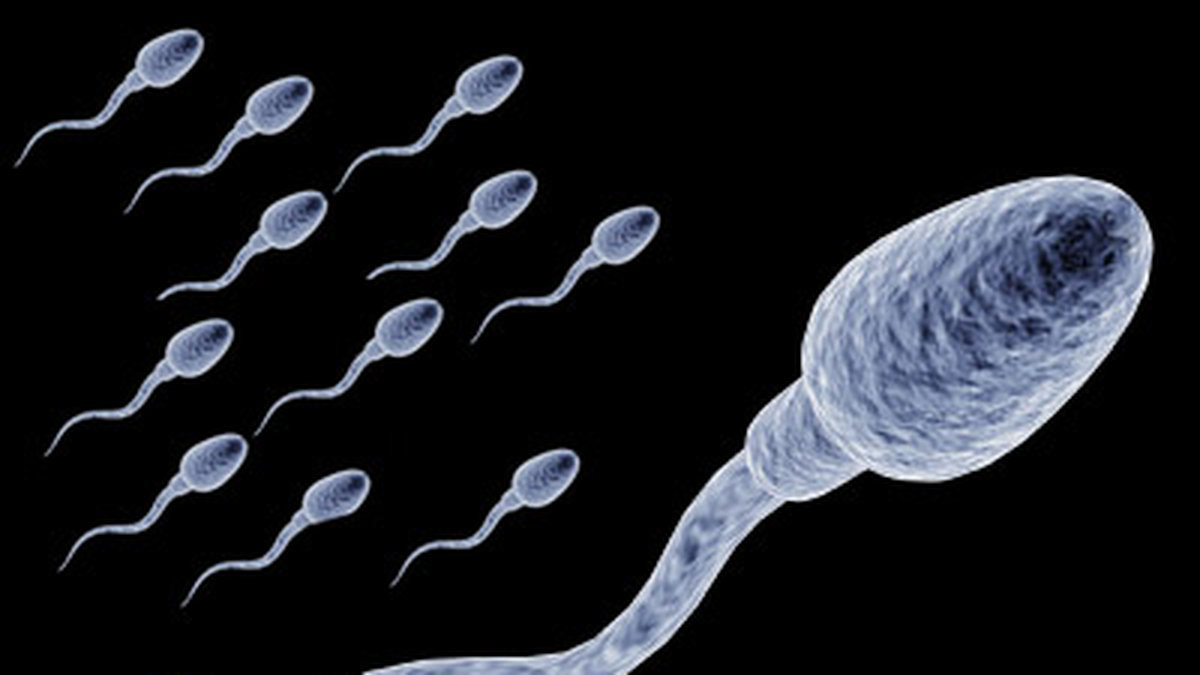 Mängden sperma, samt spermans DNA, påverkades under testperioden.