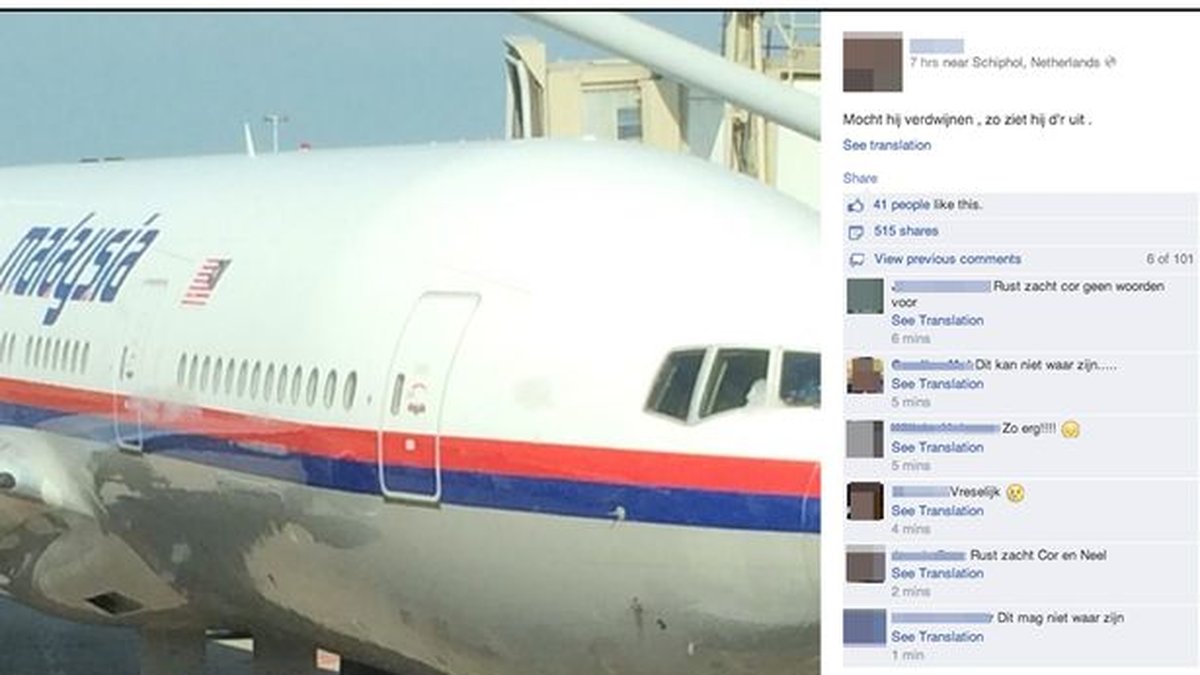 Skärmdump på vad som sägs vara en sista Facebookuppdatering från en nederländsk man som ska ha gått ombord på Malaysia Airlines-planet som skjutits ner i Ukraina.

"If the plane disappears, this is what it looks like", skrev han intill vad som ska vara en bild på det nu störtade planet.