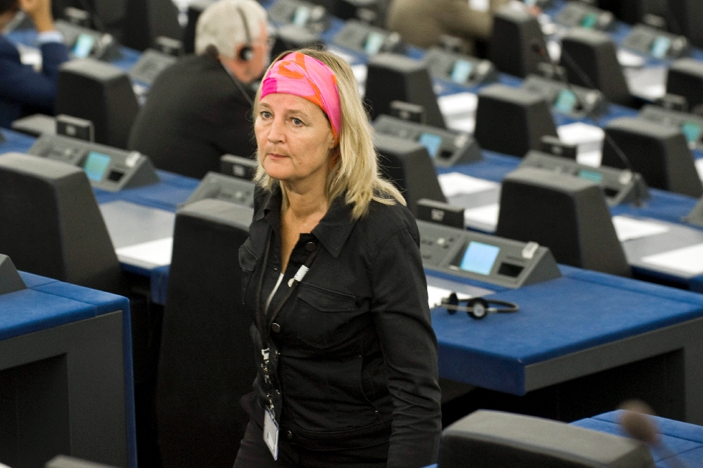 Marita Ulvskog anser att EU måste agera när det gäller Martin Schibbye och Johan Persson.