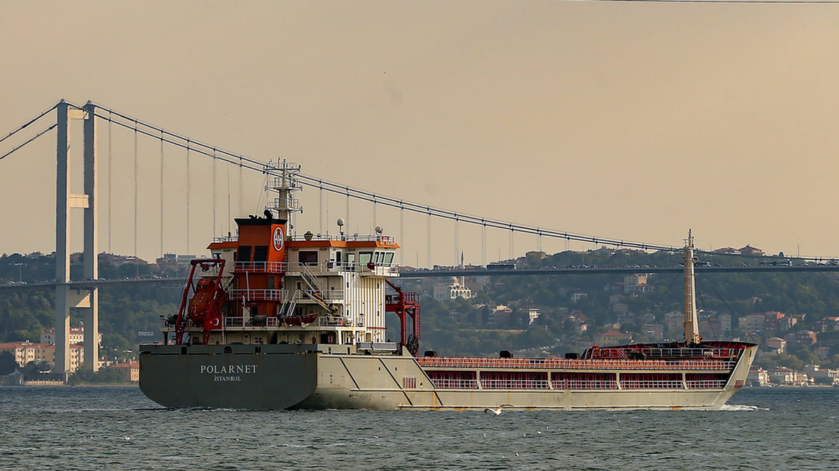Spannmålsfartyget Polarnet, här på väg genom Bosporen, har anlänt till Derince i Turkiet.