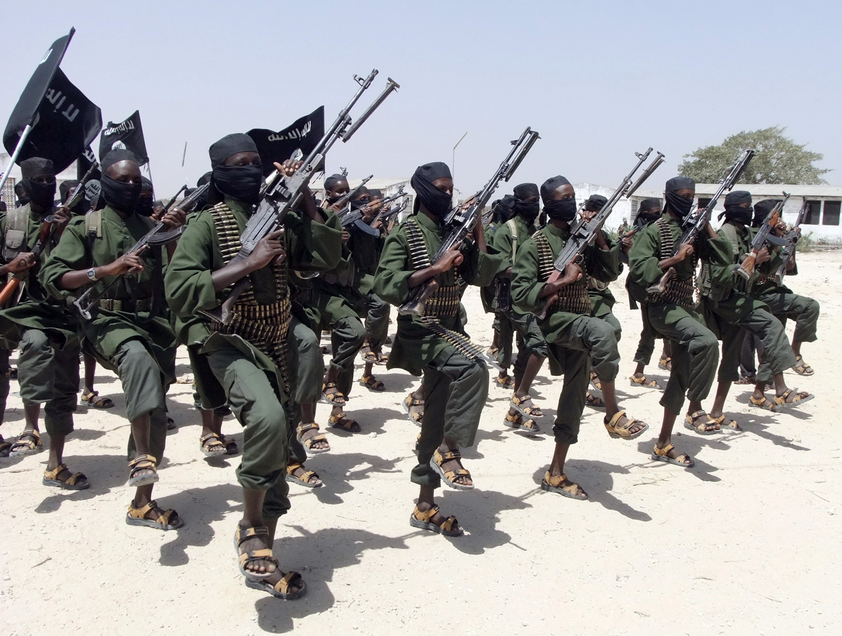 Den svenske medborgaren som har gripits i Kenya, misstänkt för samröre med den islamistiska och al-Qaida-kopplade rörelsen al-Shabaab. 