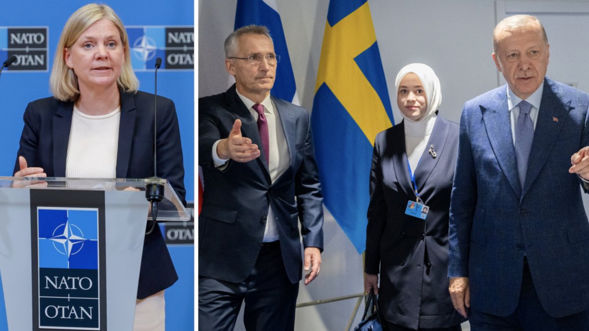 Turkiet släpper in Sverige och Finland i Nato.