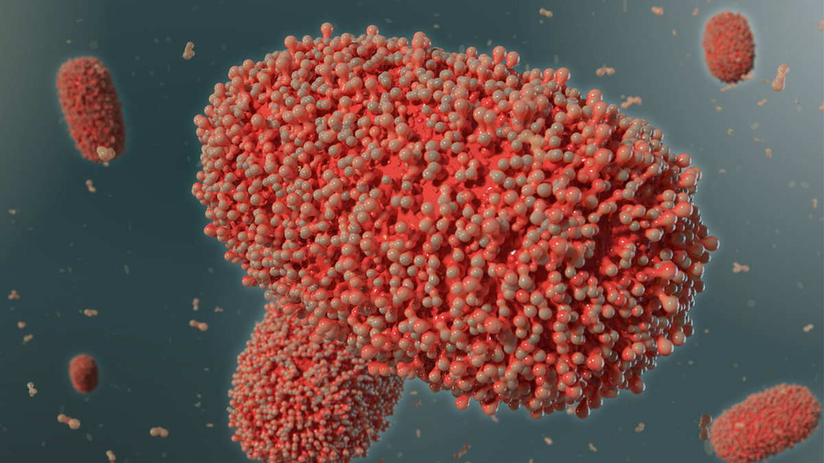 3D-illustration föreställande apkoppsvirus.
