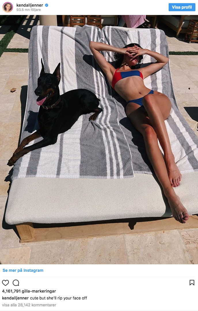 Kendall Jenner med sin hund. Kendall Jenner med sin hund.