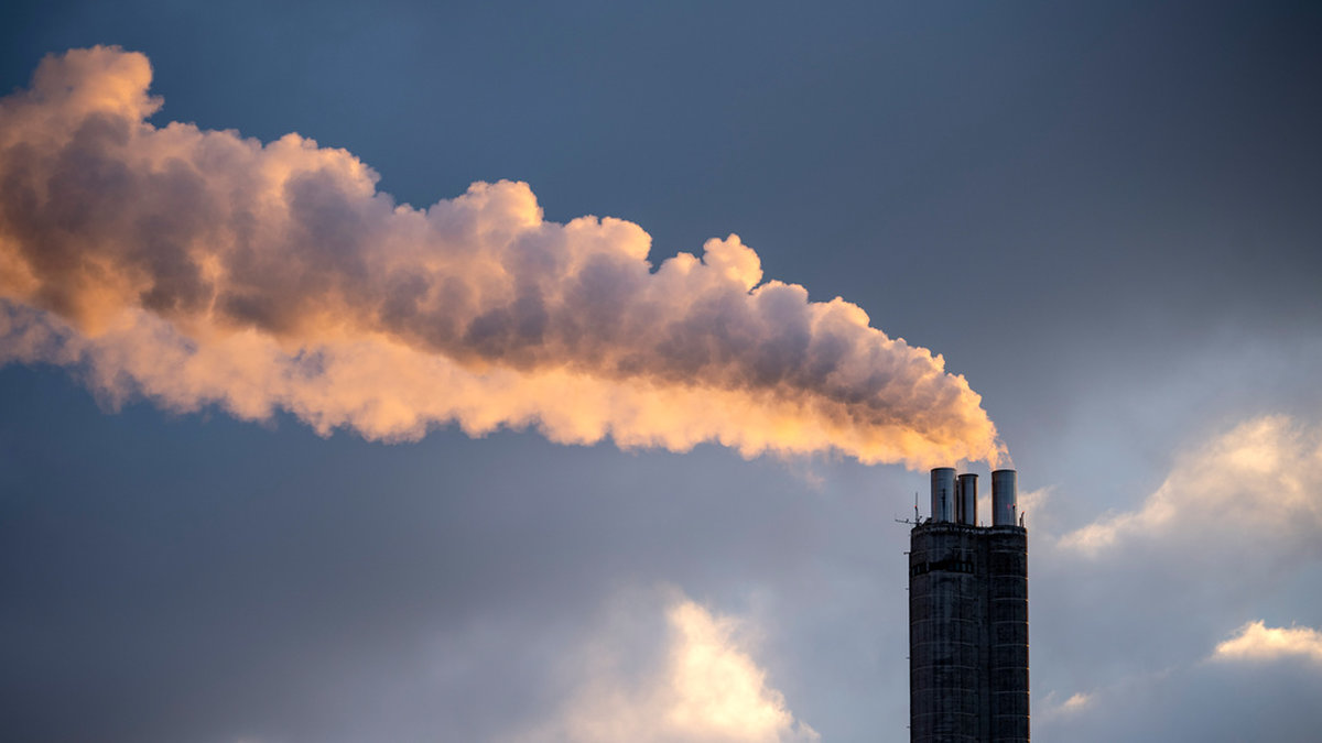 Världsnaturfonden WWF, Clientearth, Transport &amp; Environment och tyska Friends of the Earth vill att EU-kommissionen tänker om när det gäller fossilgas. Arkivbild.