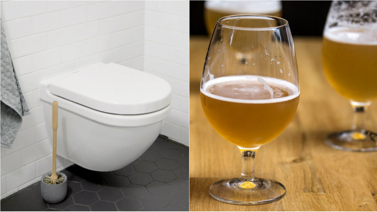 Enligt belgiska forskare kan man göra urin till öl.