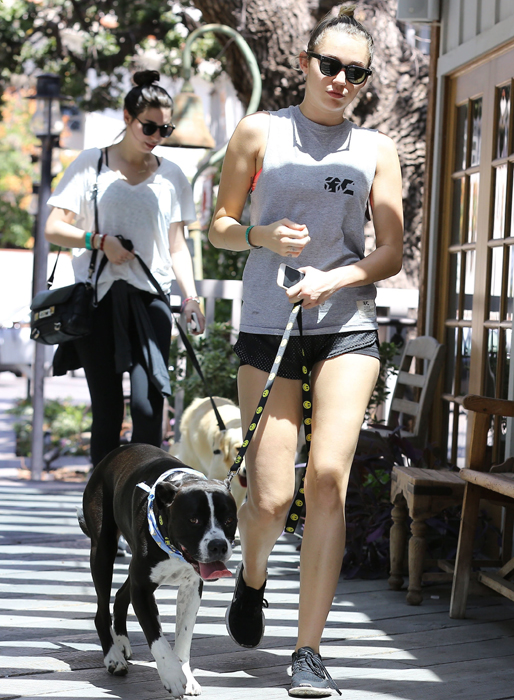 Miley med sin jycke. Miley med sin jycke.
