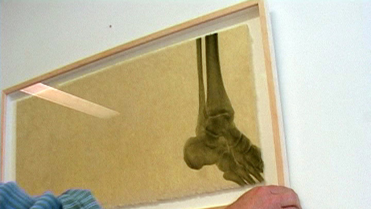 I delstaten Washington är det förbjudet att använda röntgenutrustning för skobeslag. 