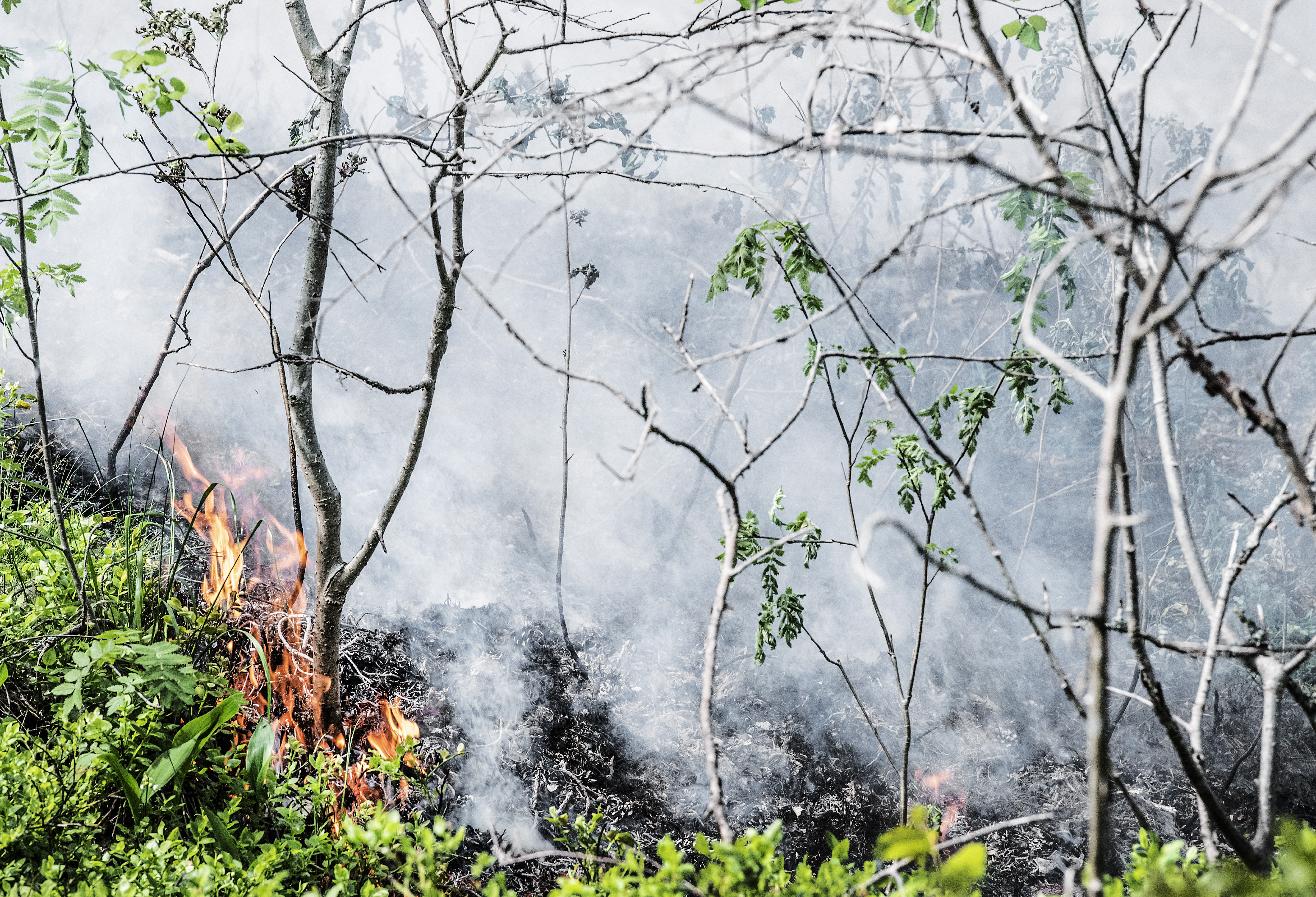 Det råder brandrisk på flera håll i Sverige. Det råder brandrisk på flera håll i Sverige.