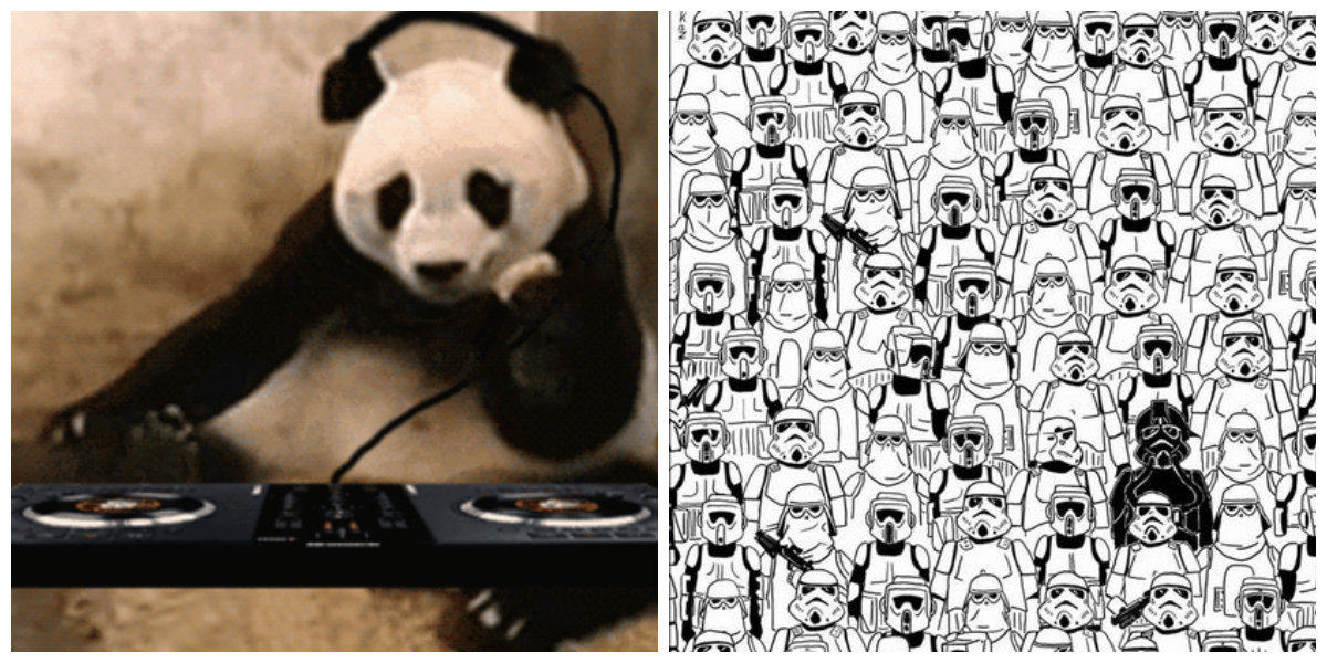 Quiz, Panda, Hitta pandan, Utmaning