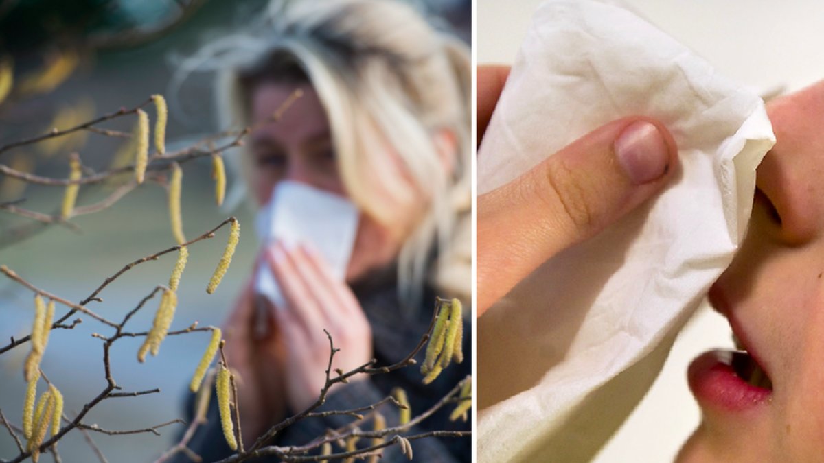 Allergiker ända upp till Värmland kan känna av pollen just nu. Arkivbild.