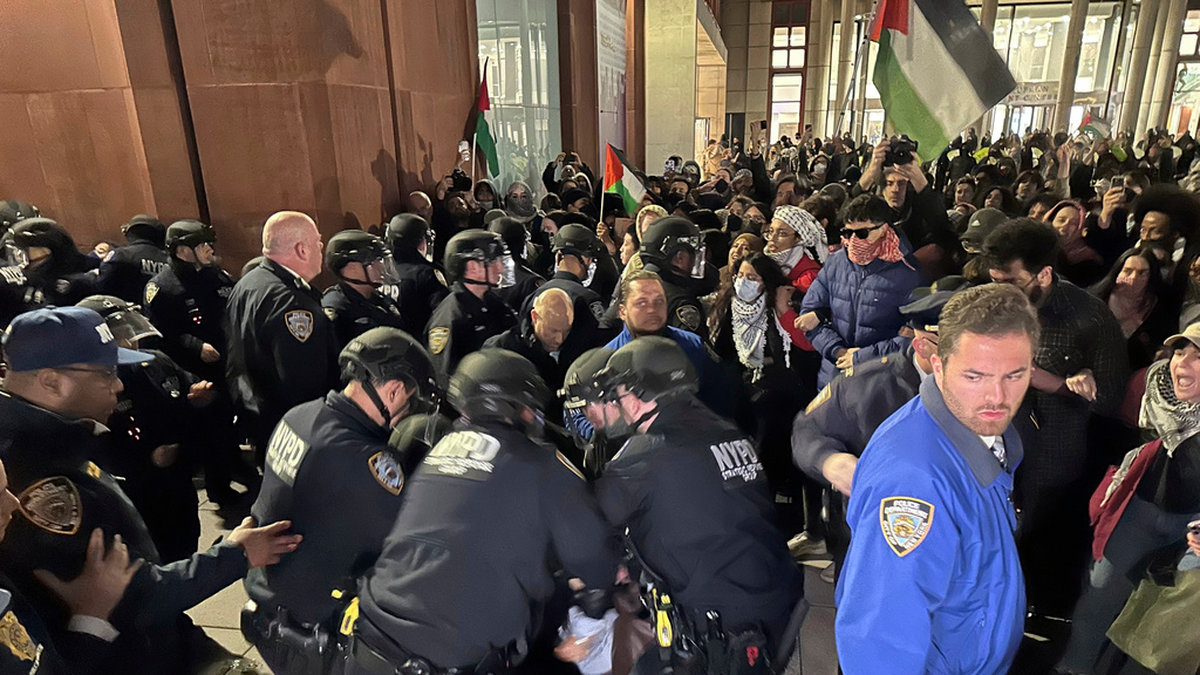 Pro-palestinska demonstranter grips av polis vid New York University på måndagskvällen.