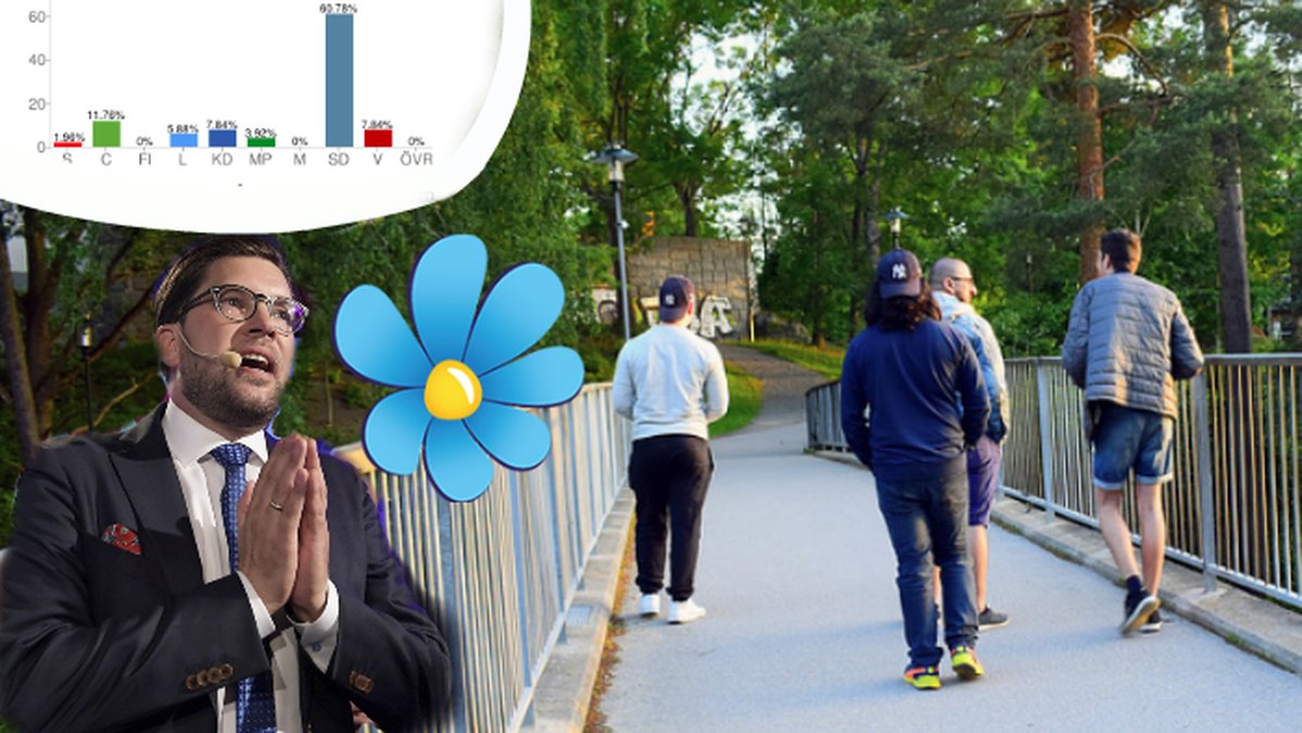 Jimmie Åkesson, statistik och ungdomar som går på en bro.