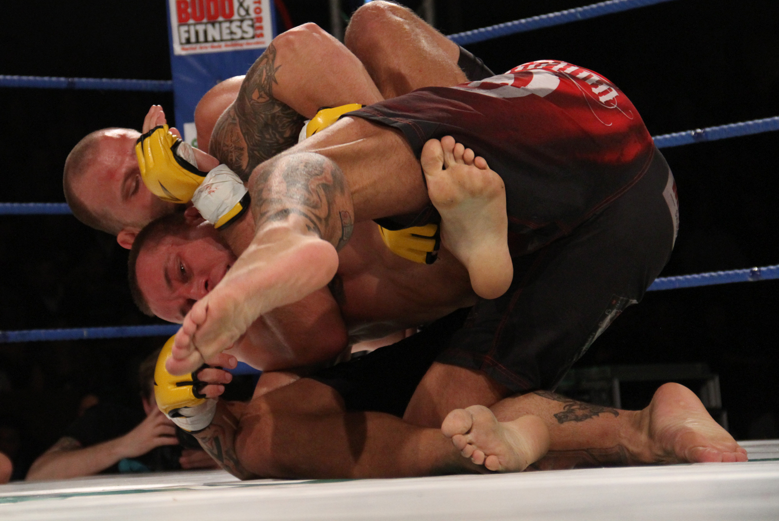 RenYi, Battle of Botnia, Tor Troéng, MMA
