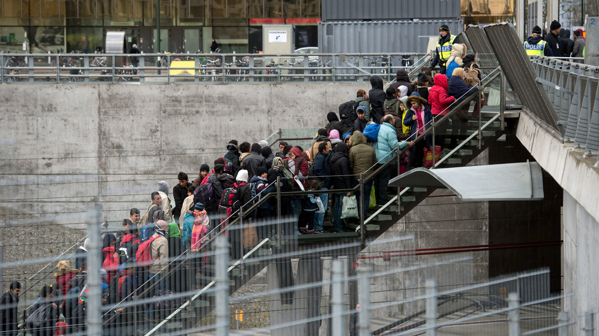 Enligt en granskning som SVT Nyheter gjorde 2015 hade antalet välutbildade personer som flytt till Sverige aldrig tidigare varit så många.