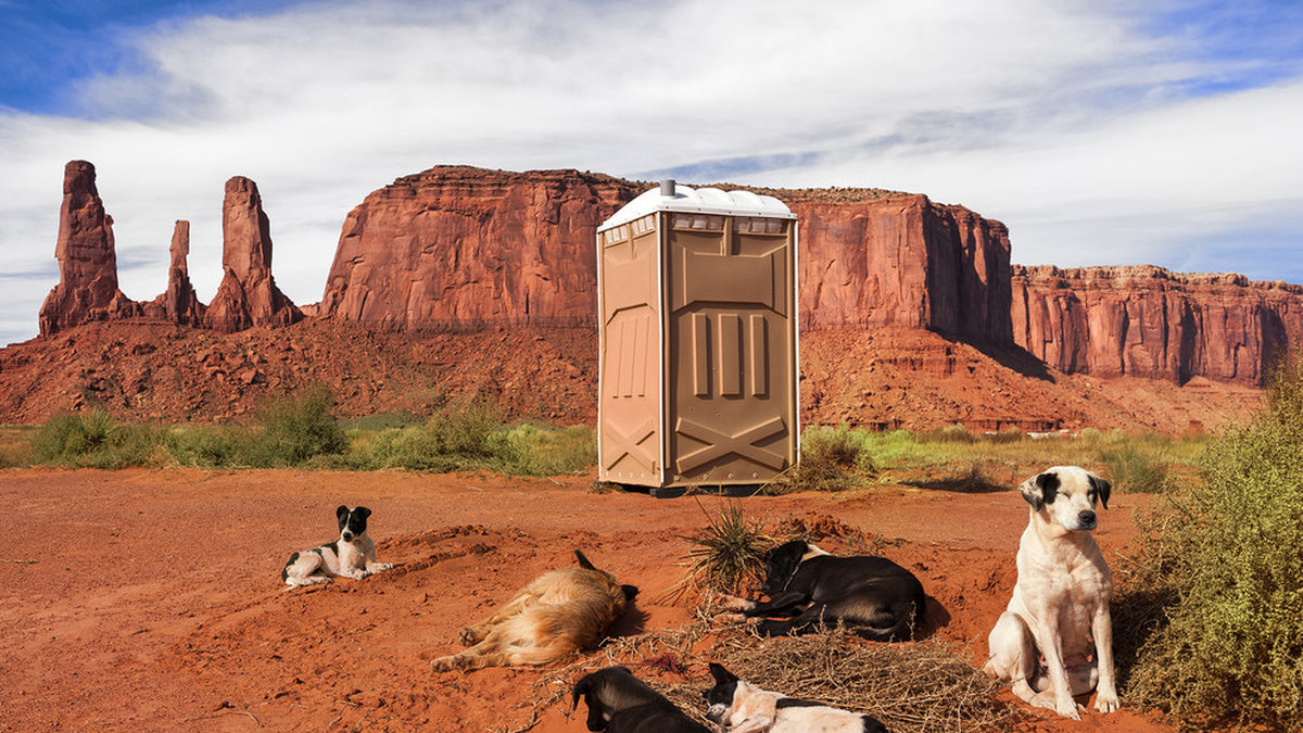 I Monument Valley, Utah i USA finns den här enkla toaletten som vaktas av lite vildhundar. 