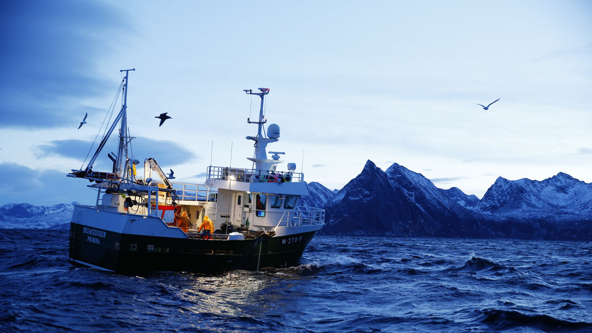 Det komersiella fisket kan öka takten på klimatförändringarna.