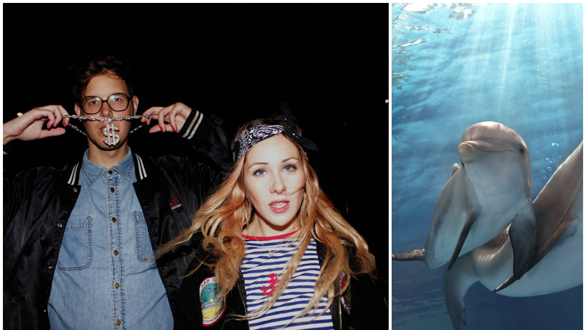 Johen Rafael Tilli och Mayka Edd tycker att Kolmården måste släppa ut sina delfiner.