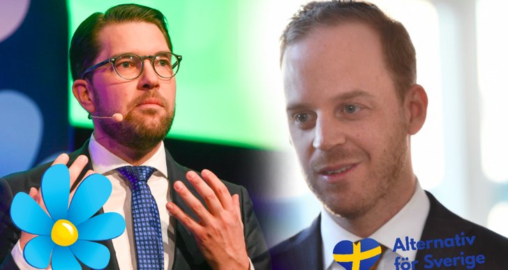 Jimmie Åkesson, Alternativ för Sverige, Sverigedemokraterna