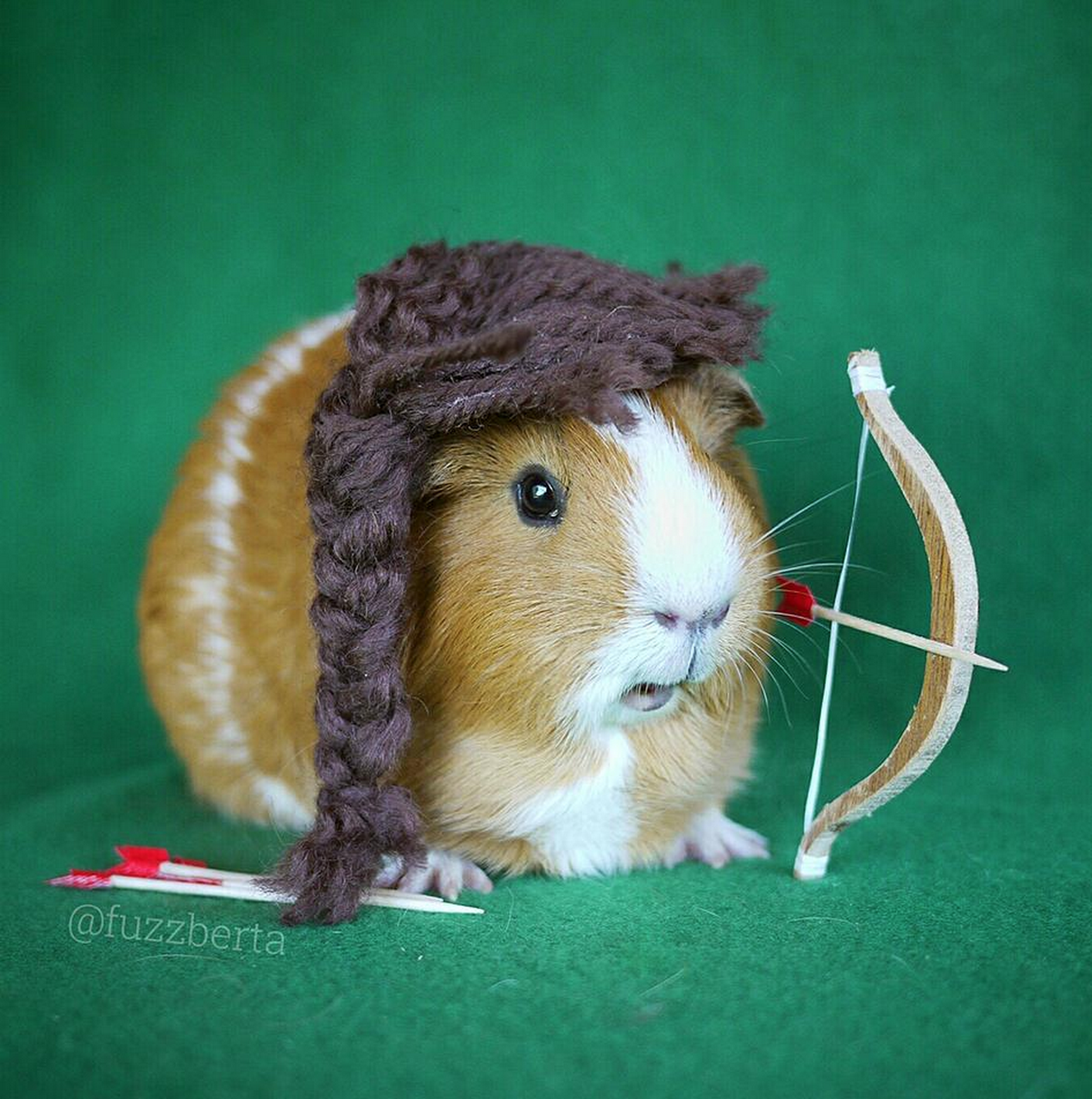 MiniGuineaPig utklädd till Katniss ur Hungerspelen. MiniGuineaPig utklädd till Katniss ur Hungerspelen.