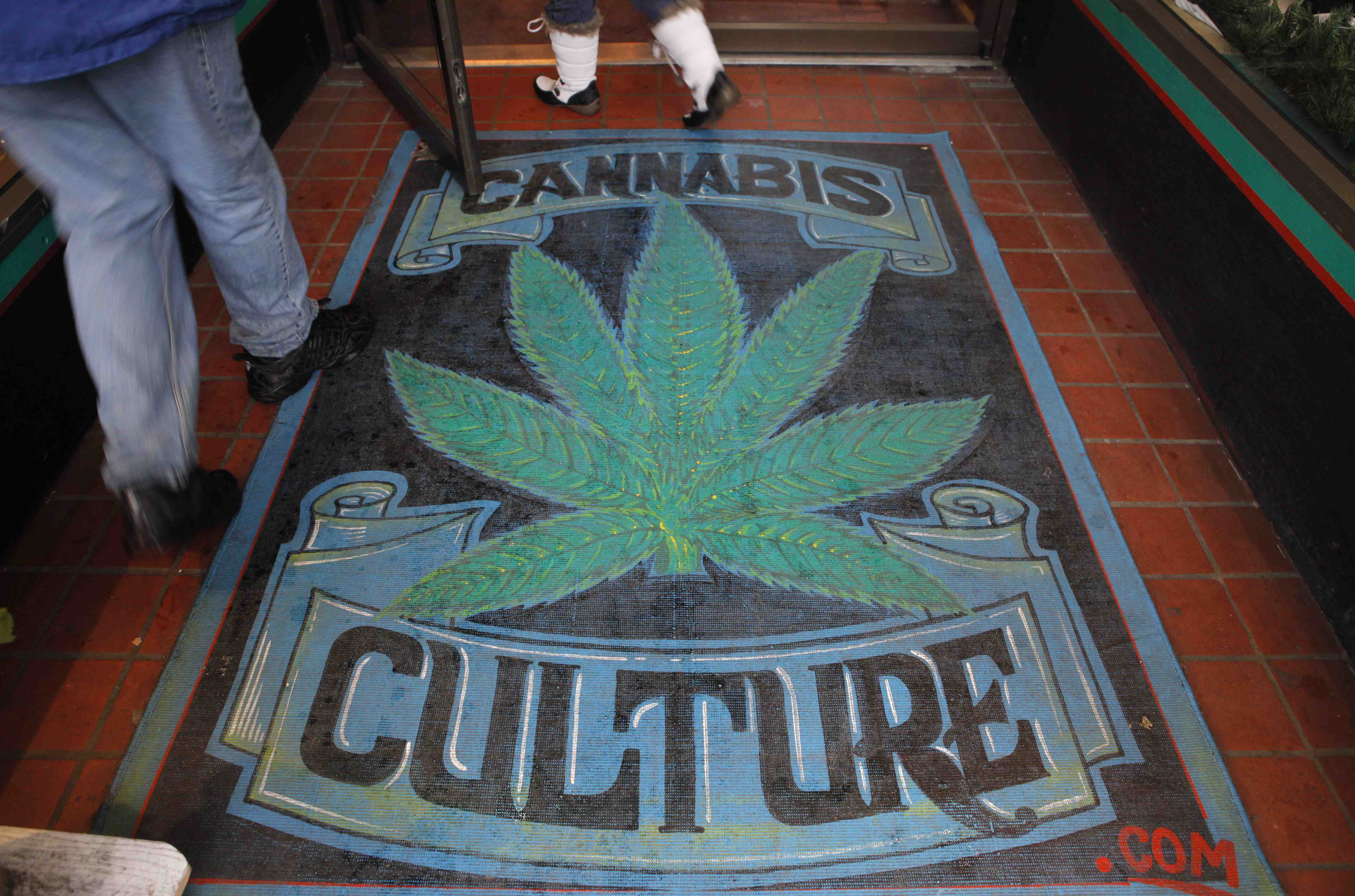 Cannabis, Marijuana, Skane, Droger, Berusning, Missbruk, Narkotika, Beroende, Brott och straff