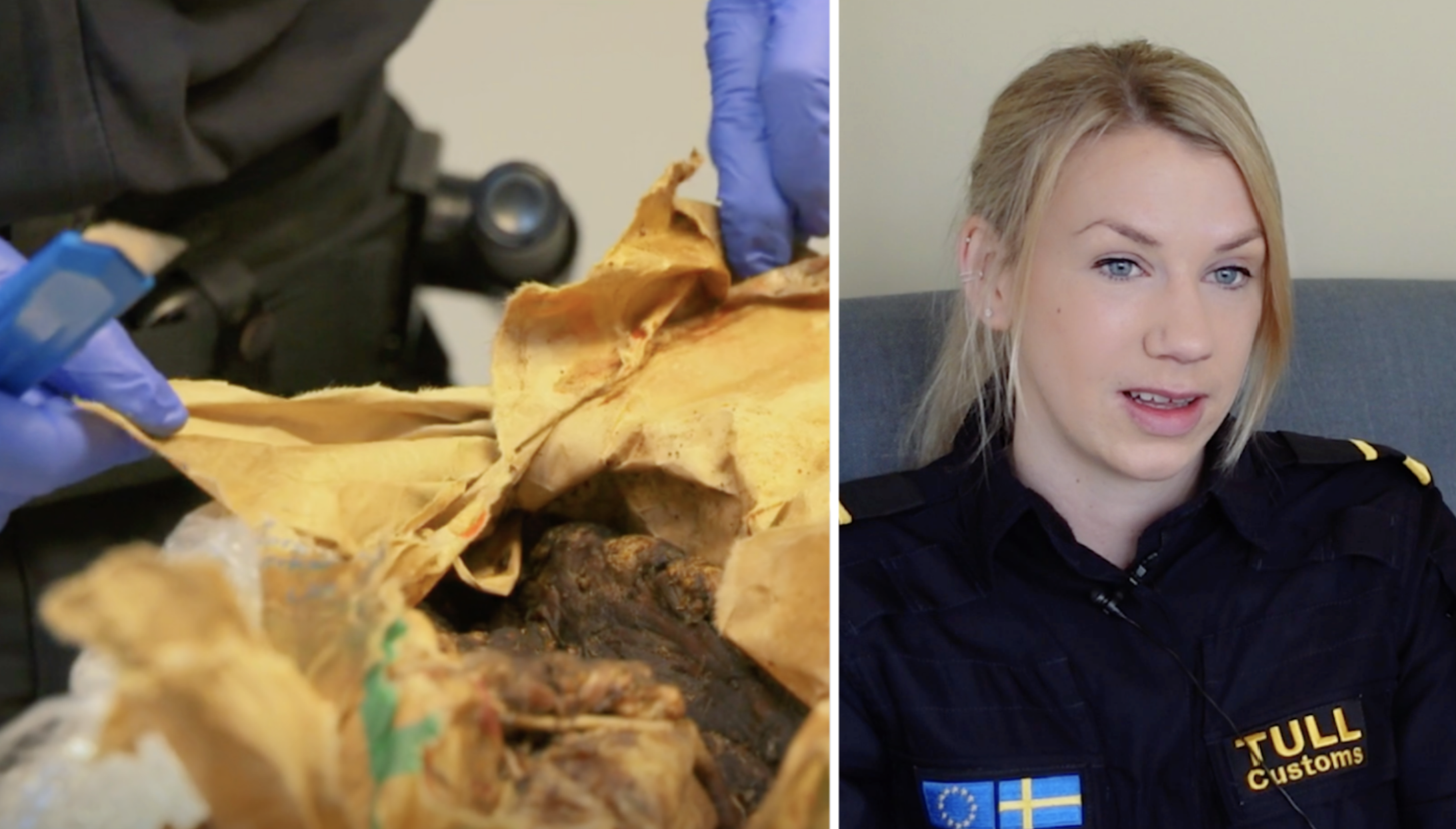 Mimmi från "Gränsbevakarna Sverige" berättar om fyndet i tullen