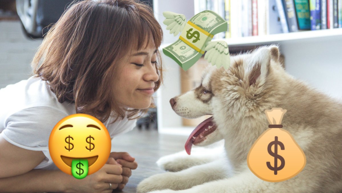 Hund- och kattägare tjänar mer pengar