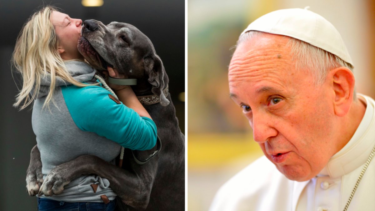 Hund och påven