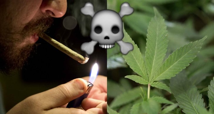 Röka, Weed, Skadligt, Karolinska institutet, Cannabis, Marijuana