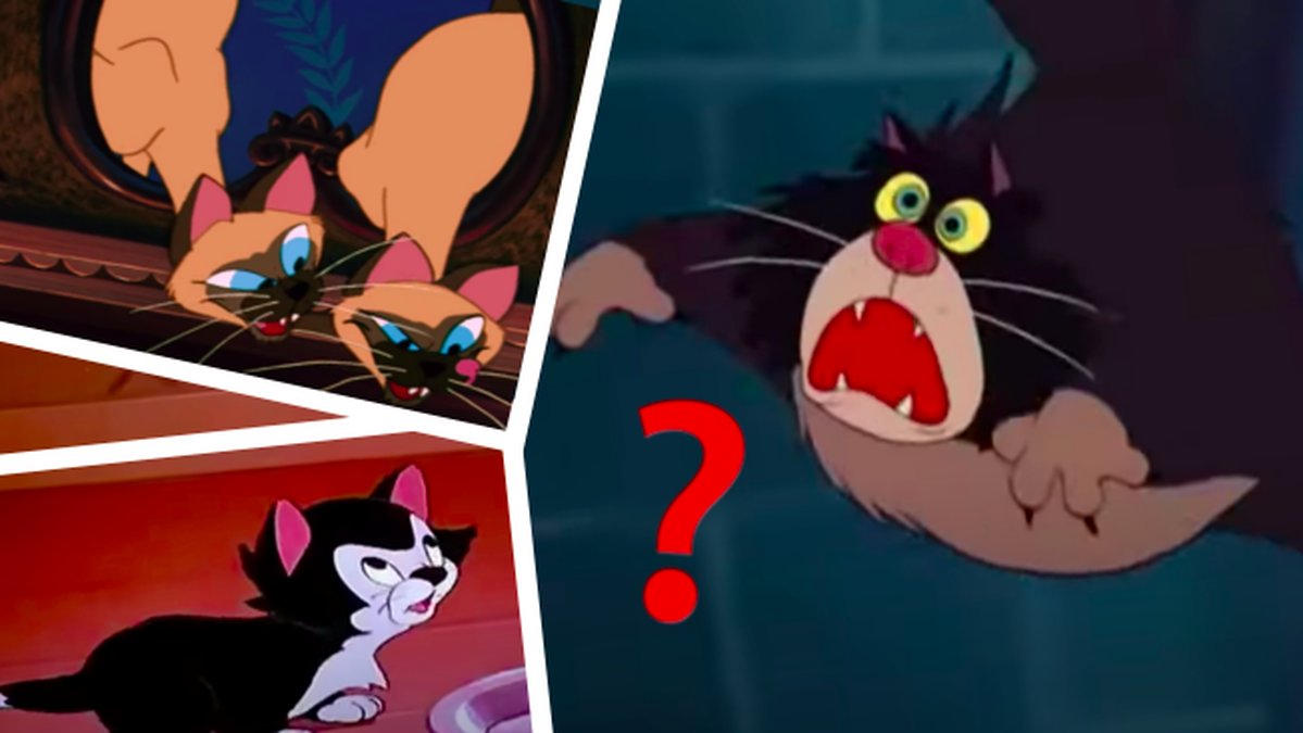 Kan-du-para-ihop-Disneyfilm-med-katt