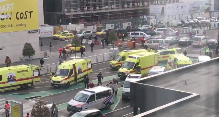 Terrorism, Bryssel, Terrorattackerna i Bryssel