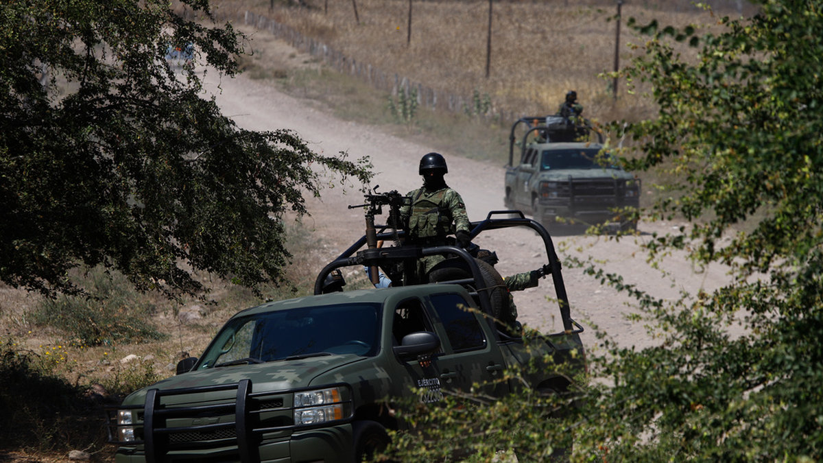 Mexikansk militär har gripit flera ledare inom knarkkarteller.