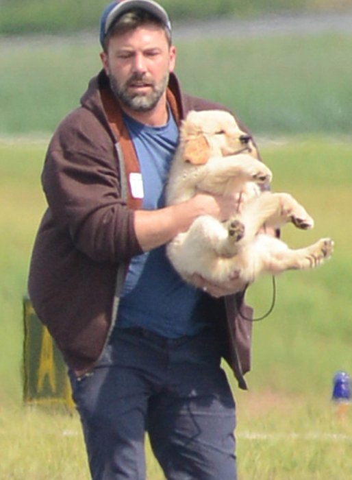 Ben Affleck har köpt en gosig liten hundvalp. Ben Affleck har köpt en gosig liten hundvalp.