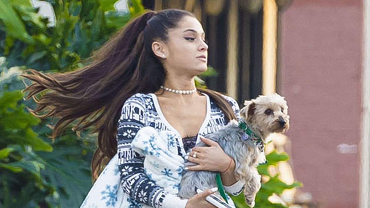 Ariana Grande flänger runt i Los Angeles med sin hund. 