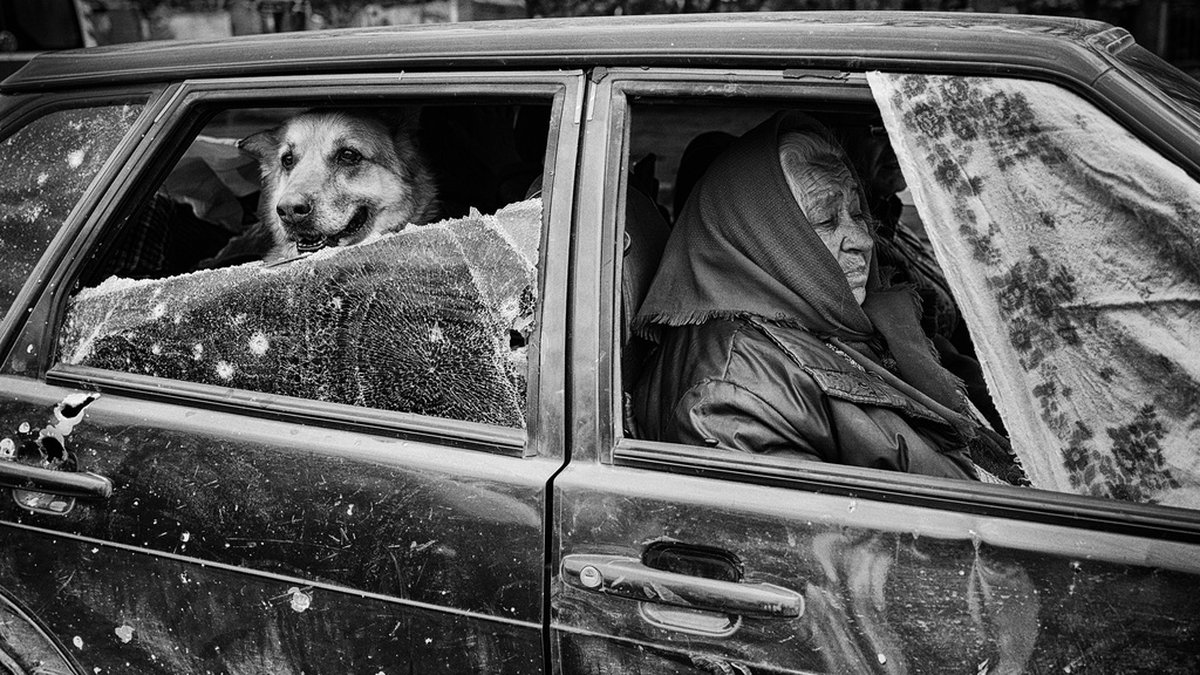 Fotografen Eddy van Wessel är nominerad i kategorierna årets fotograf och årets bild. Här en bild av en kvinna och hennes man och hund som har lyckats ta sig ut från en ukrainsk by som varit belägrad av den ryska armén.