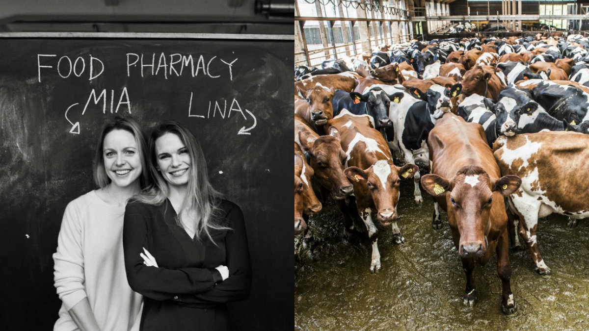 Mia Clase och Lina Nertby Aurell vill att Stefan Löfven ska ta upp problemen med köttindustrin
