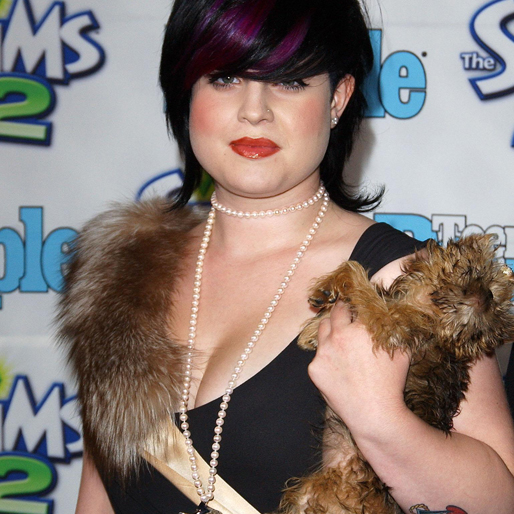Rockdottern och artisten Kelly Osbourne blev känd för sitt ostyriga hår, sotiga ögon och illröda läppar. Kläderna hon bar på röda mattan går även de att diskutera. Rockdottern och artisten Kelly Osbourne blev känd för sitt ostyriga hår, sotiga ögon och illröda läppar. Kläderna hon bar på röda mattan går även de att diskutera.