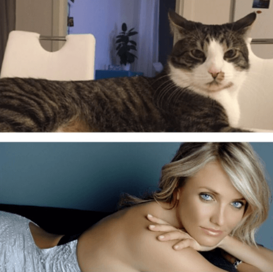 Cameron Diaz. Cameron Diaz.