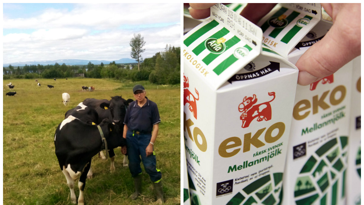 Henry Olofsson anser att Sverige måste göra mer för landets mjölkbönder.