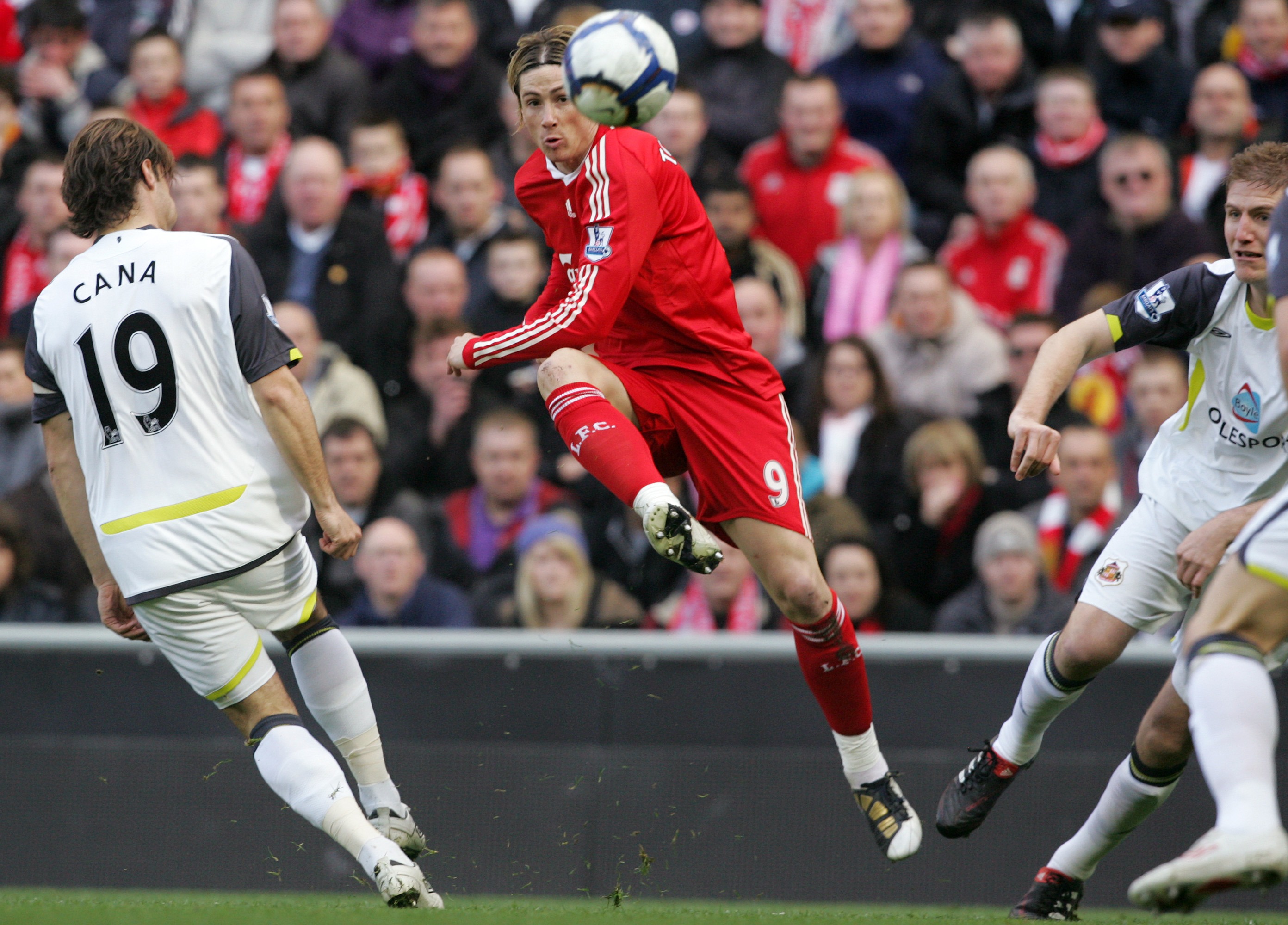 Fernando Torres, Liverpool, Premier League, Sunderland, Glen Johnson