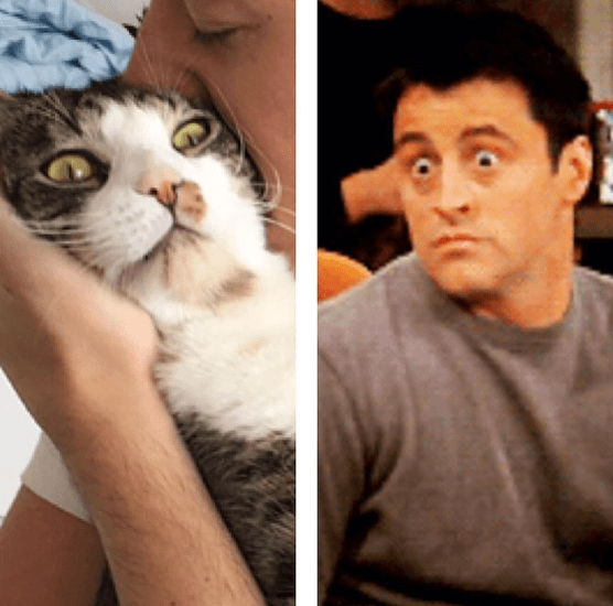 Joey i "Vänner".