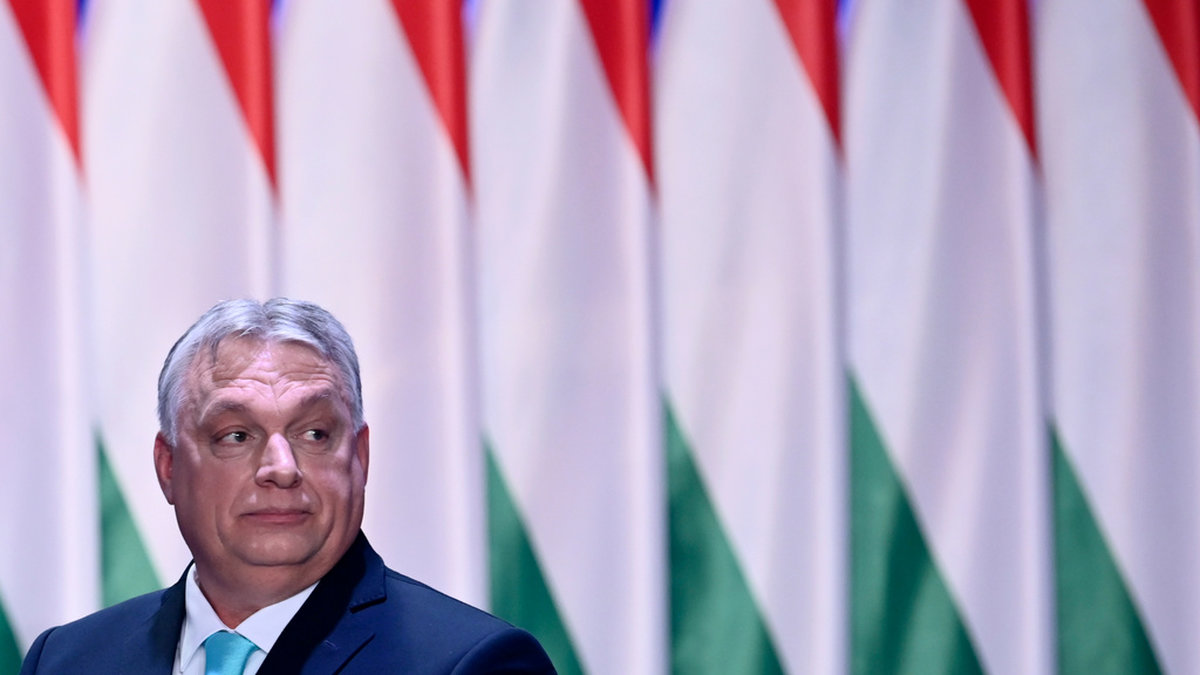 Premiärminister Viktor Orbán har rekommenderat sitt parti att ge grönt ljus till Sverige och Finland. Arkivbild.