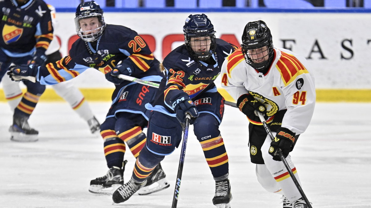 Antalet utövare på dam- och flicksidan har passerat 10 000 efter en satsning i svensk ishockey. Arkivbild.
