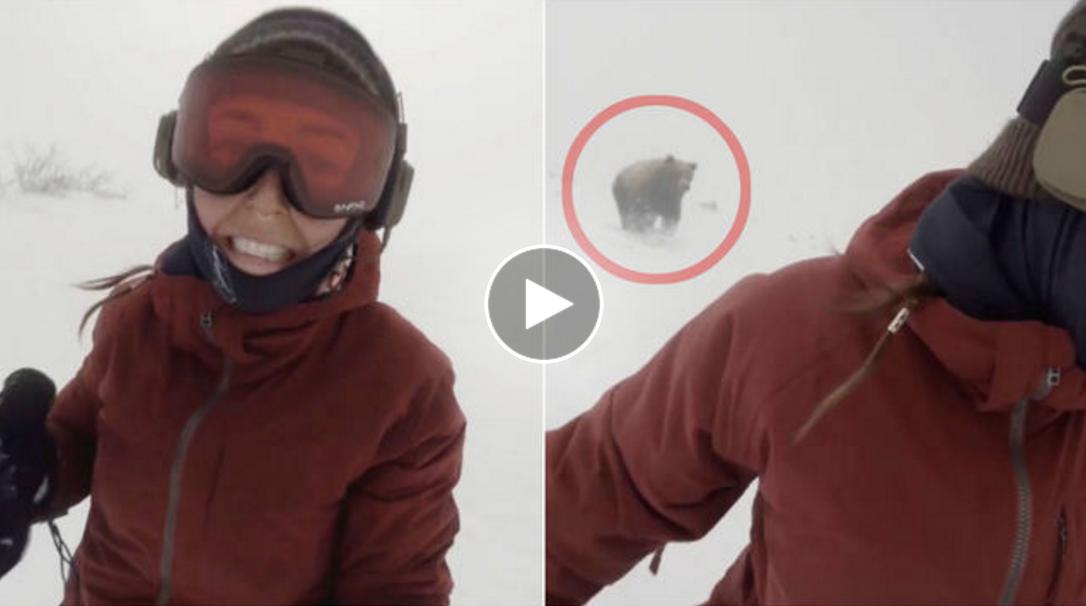 Björn, Snowboard, Selfie